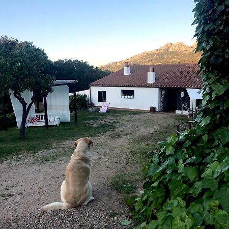 塔司吉亚住宿加早餐旅馆 Aggius 外观 照片