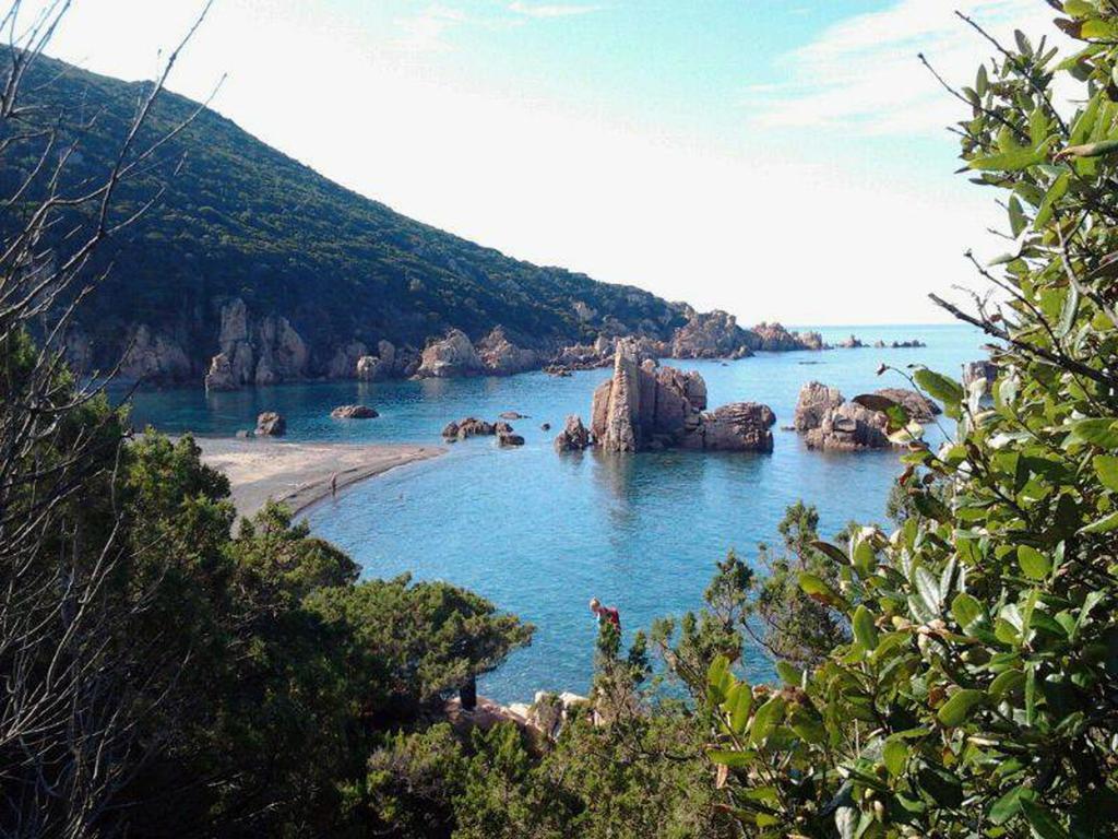 塔司吉亚住宿加早餐旅馆 Aggius 外观 照片