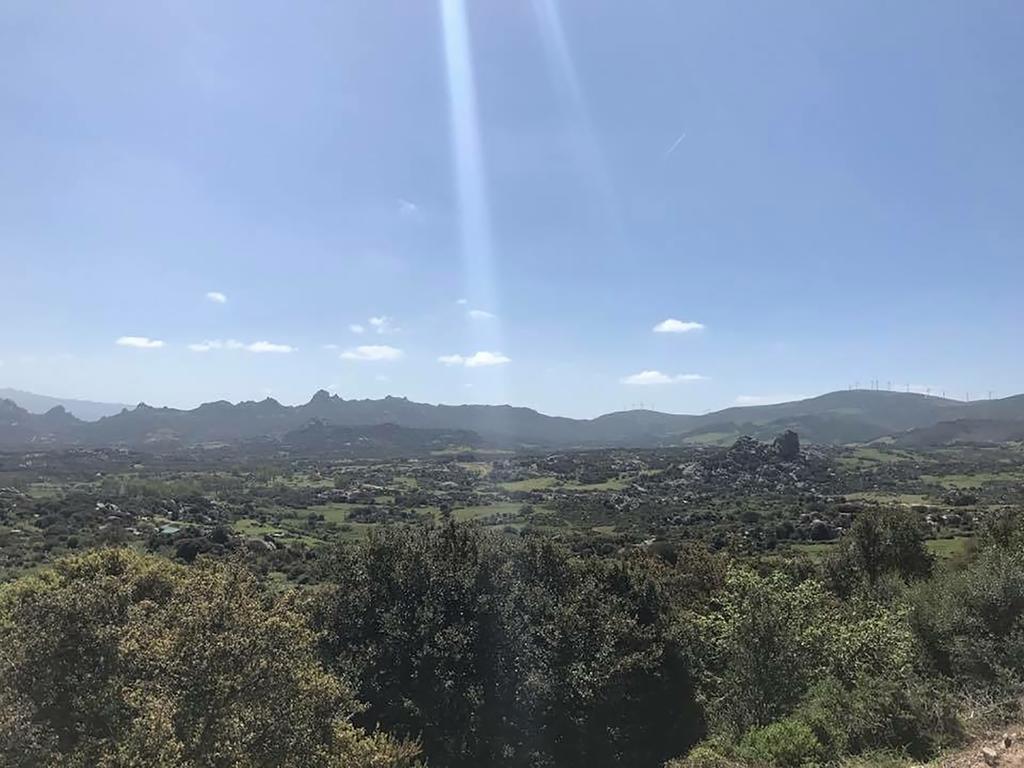 塔司吉亚住宿加早餐旅馆 Aggius 外观 照片