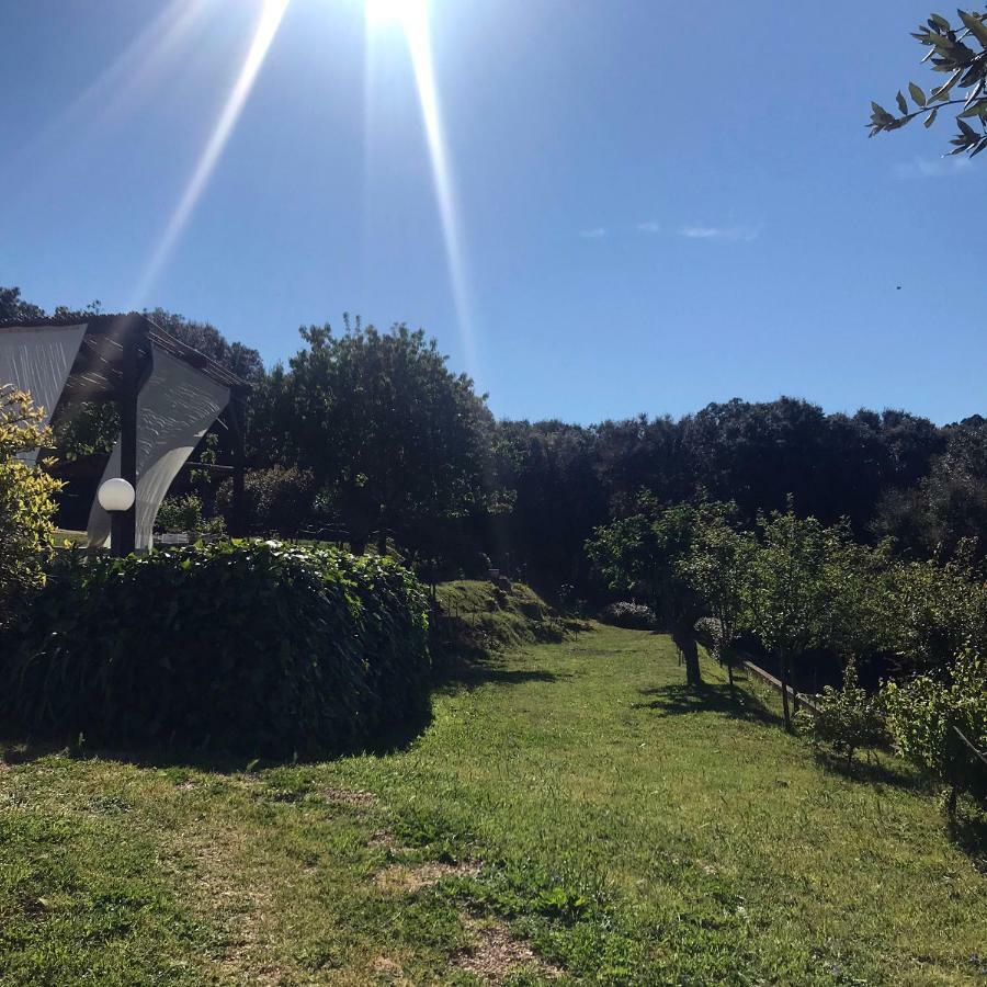 塔司吉亚住宿加早餐旅馆 Aggius 外观 照片