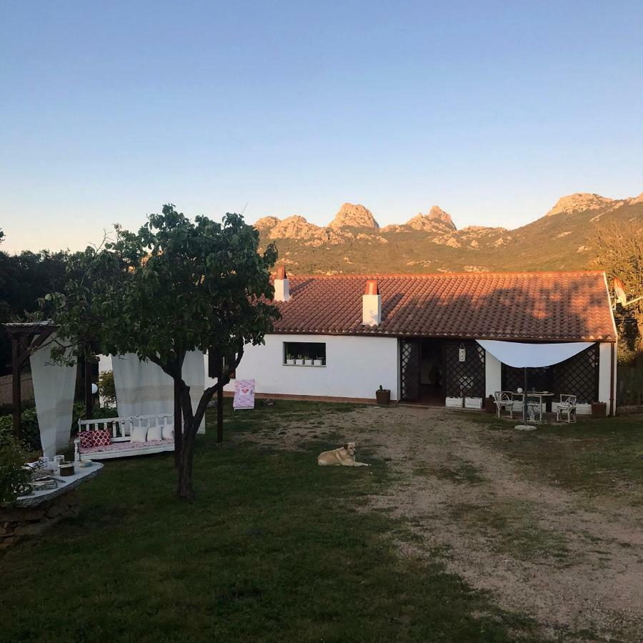 塔司吉亚住宿加早餐旅馆 Aggius 外观 照片