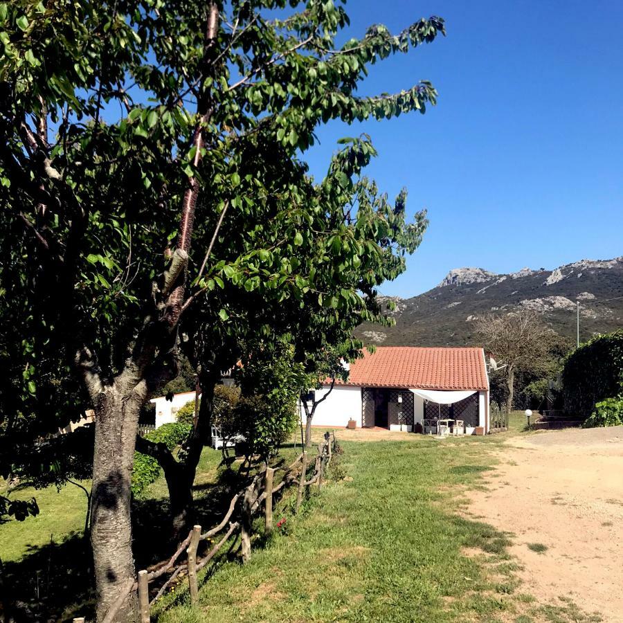 塔司吉亚住宿加早餐旅馆 Aggius 外观 照片