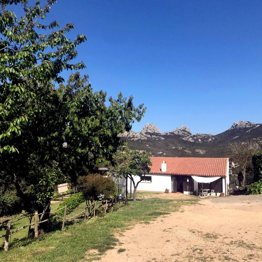 塔司吉亚住宿加早餐旅馆 Aggius 外观 照片
